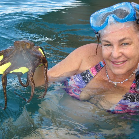 a person swimming in the water