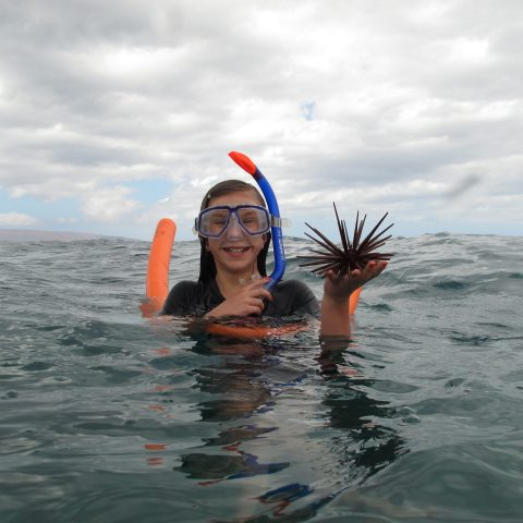 a person swimming in the water