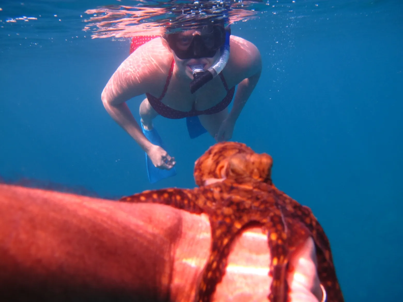 a person standing next to a body of water
