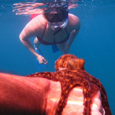 a person standing next to a body of water