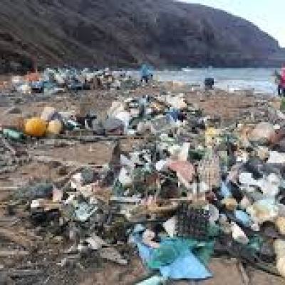 a group of people on a rocky beach